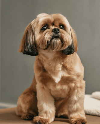 6bfca5fe-d4df-47da-93a9-353a2709c452-69f363cc-1b64-4755-9ed6-3a4c97bef135-rectangle 31 (3).png